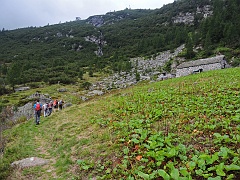 Alpe Rosareccio (mt.1825), sopra i piani alti.....